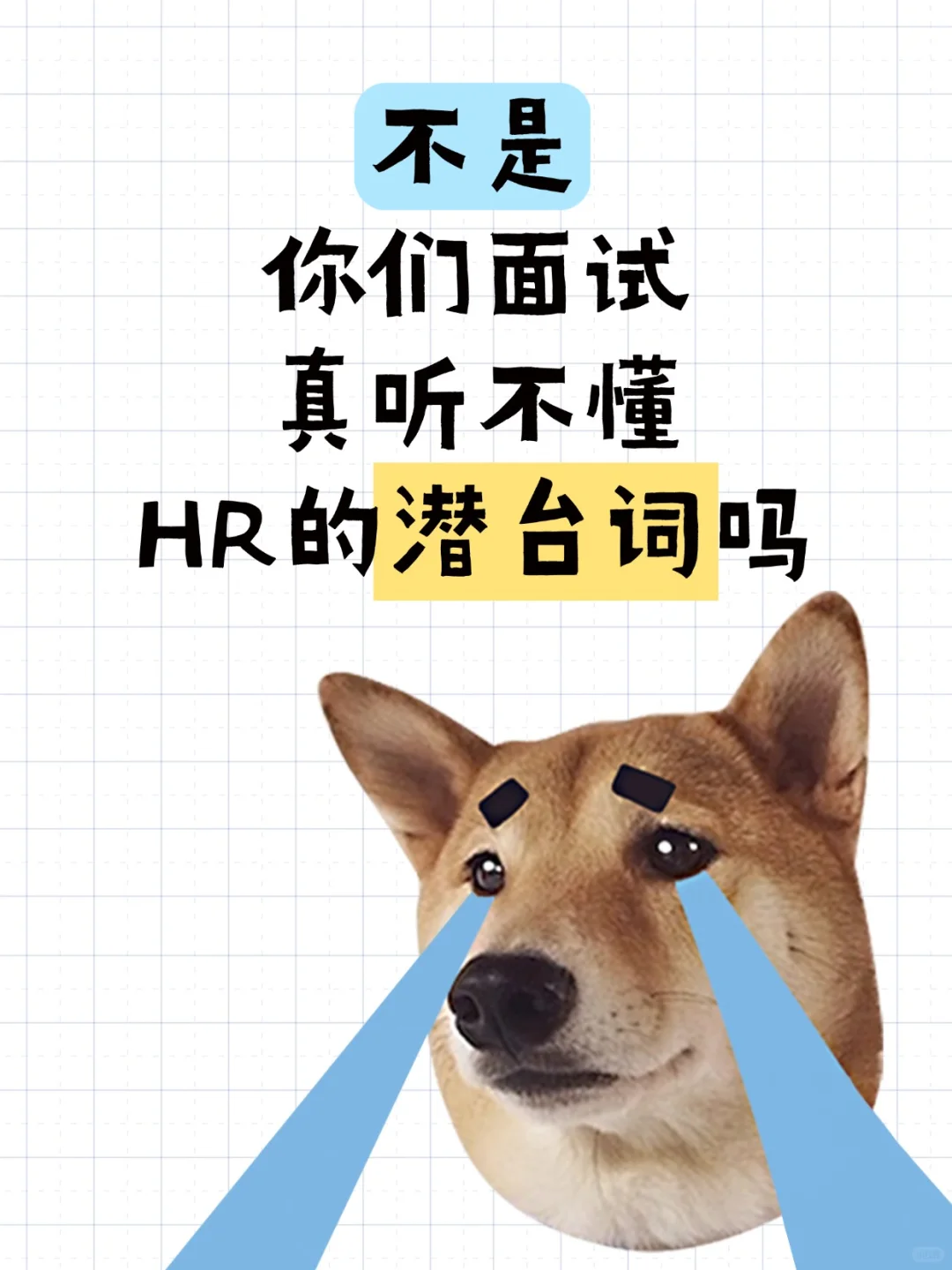 天塌了!HR说话像外星语,怪不得我面试凉凉