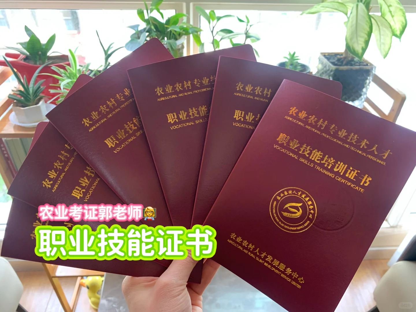 哪些人适合考种子繁育员??