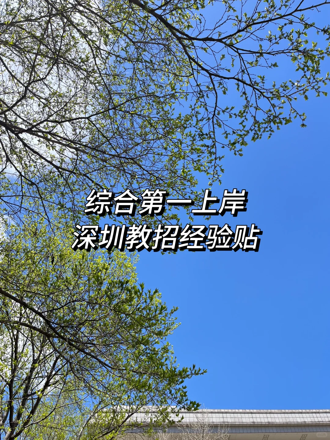 从秋招到春招?一篇延迟的教招经验贴