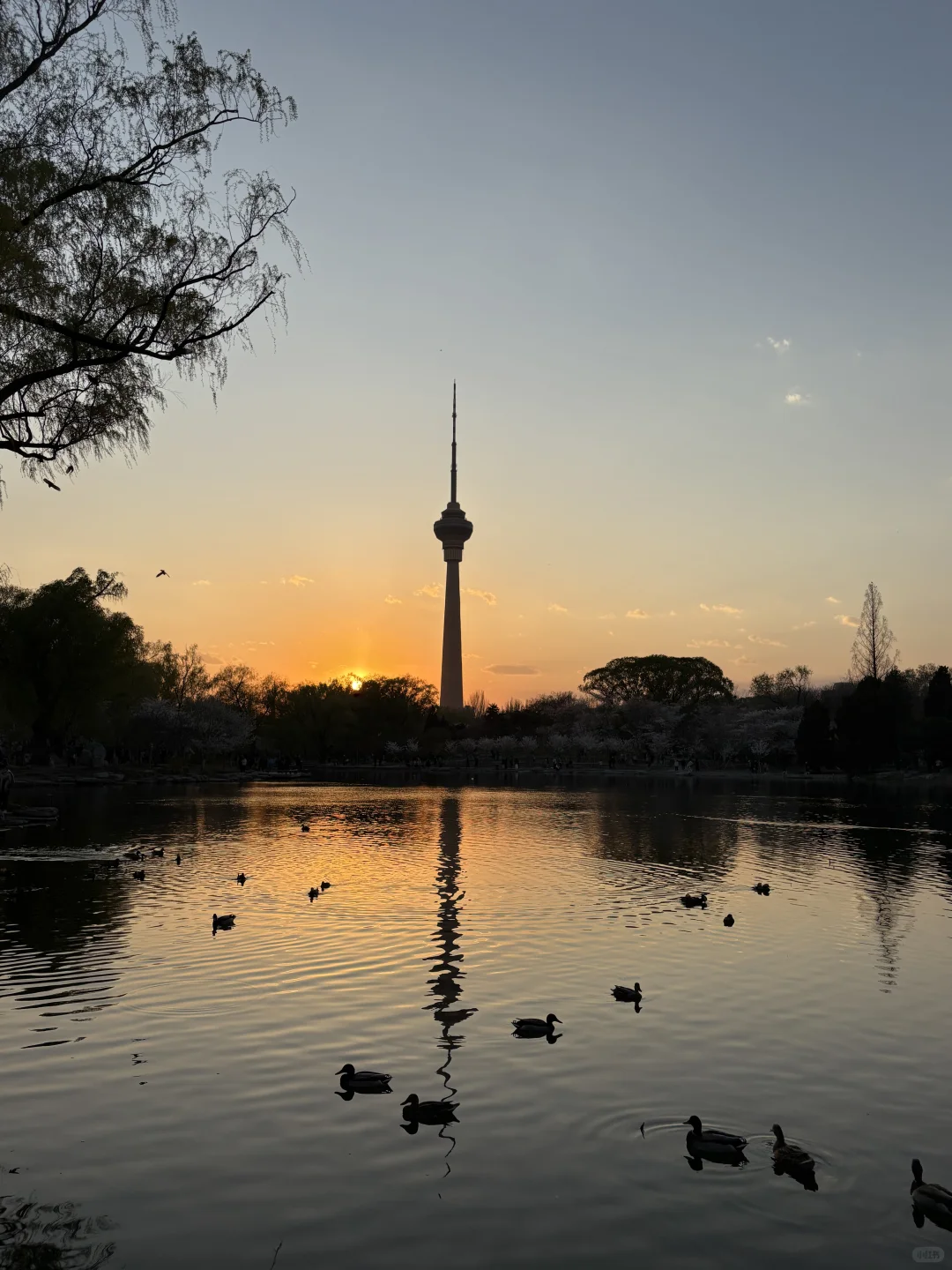 京东实习结束，再见北京?