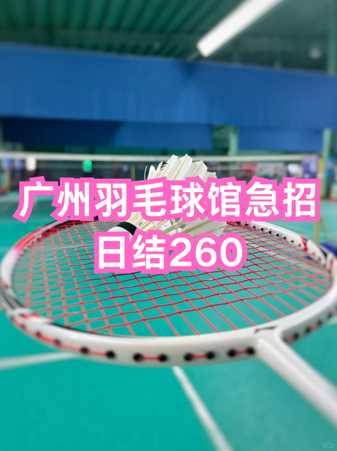 广州羽毛球馆急招！?日结260｜打球自由