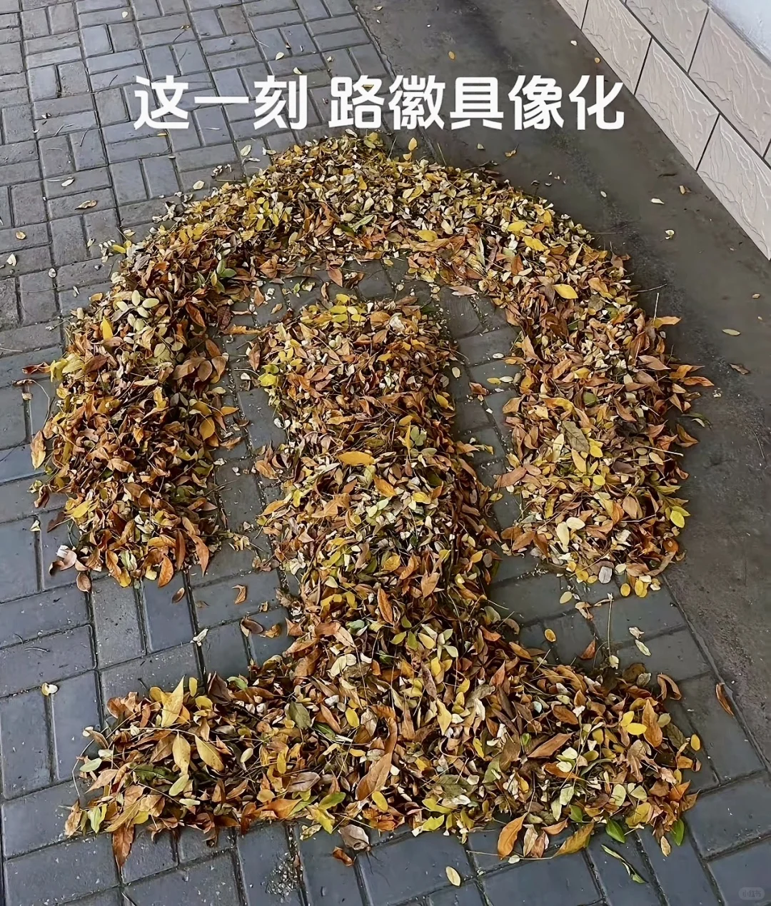 ?广铁乘务员招人，男女不限！