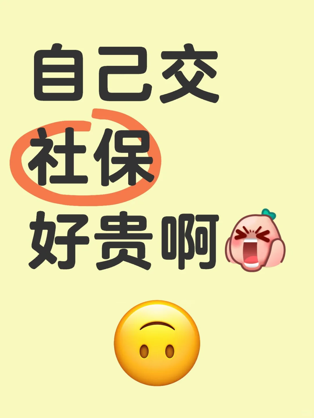 自己交社保好贵啊