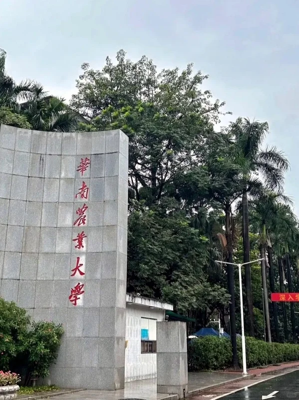 华南农业大学行政岗招聘,待遇优(硕士)