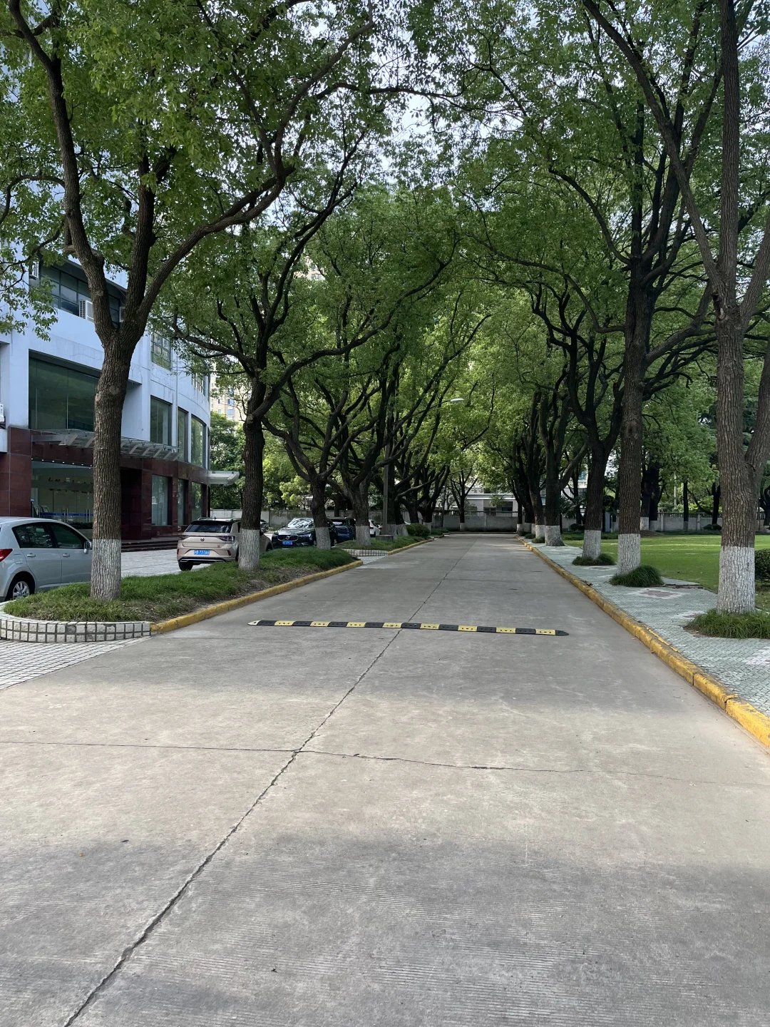急招市场营销实习生,美资生命科学头部公司