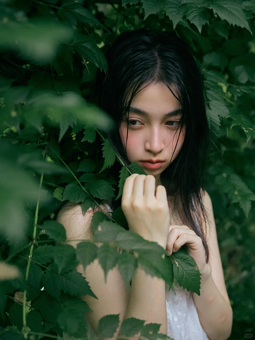 我拍的森林系女孩，太喜欢了！?