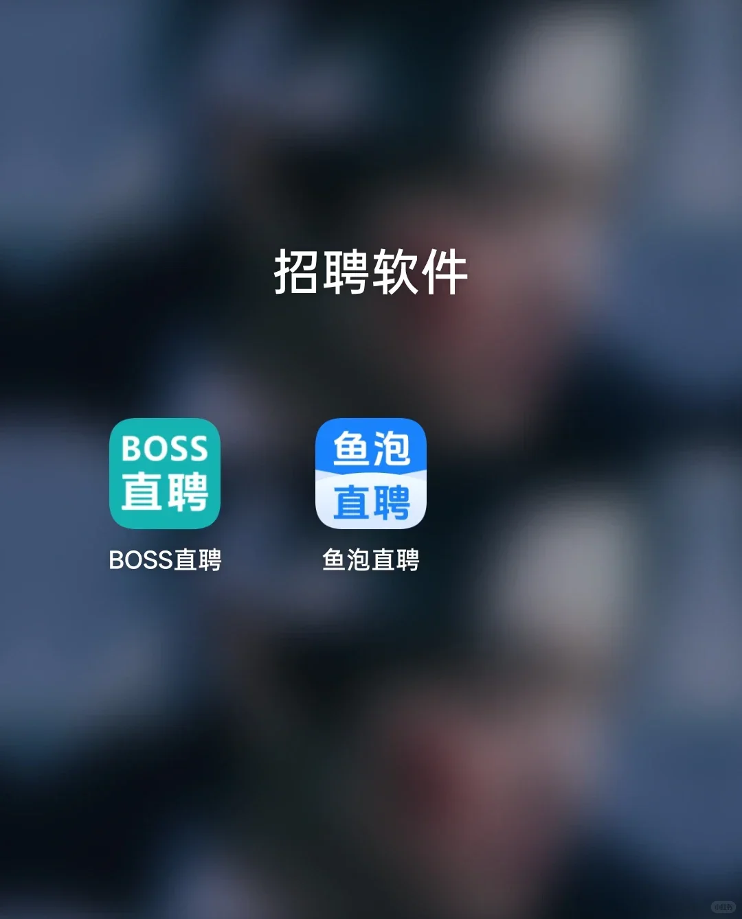 求职被boss坑后,鱼泡直聘帮我拿到了神仙of