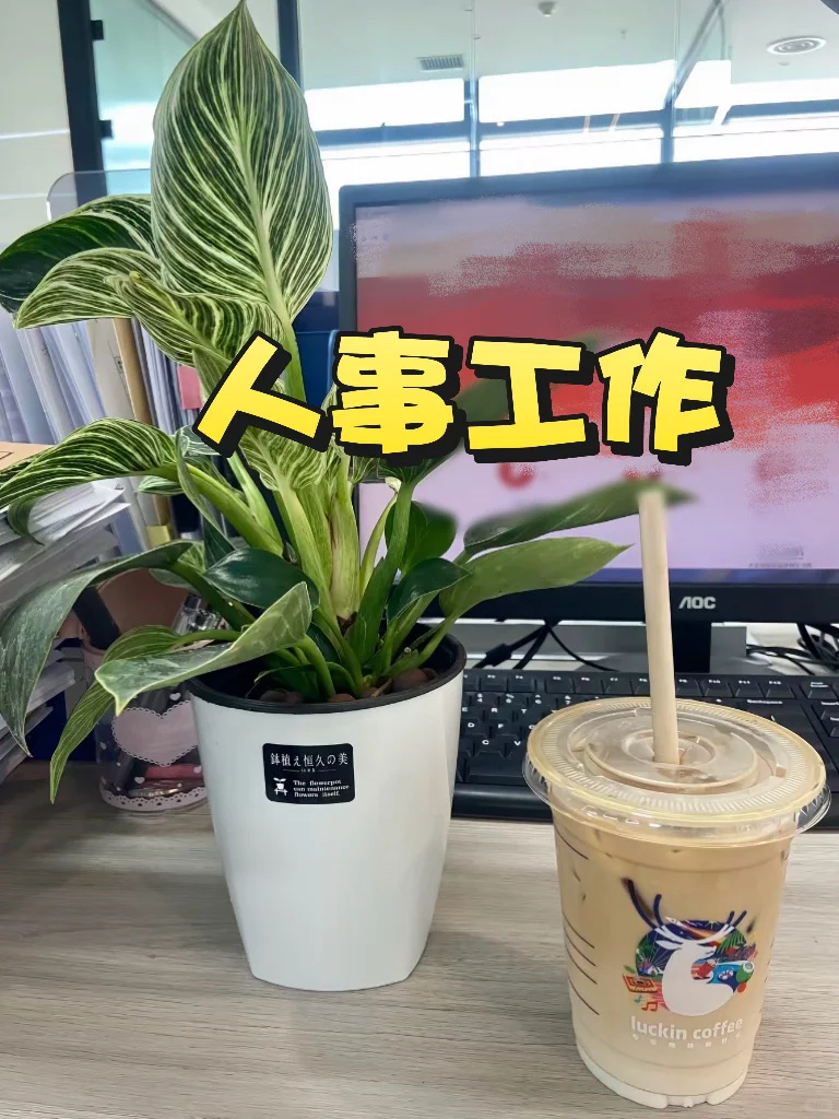 第一次做人事，不会招聘也没关系的?