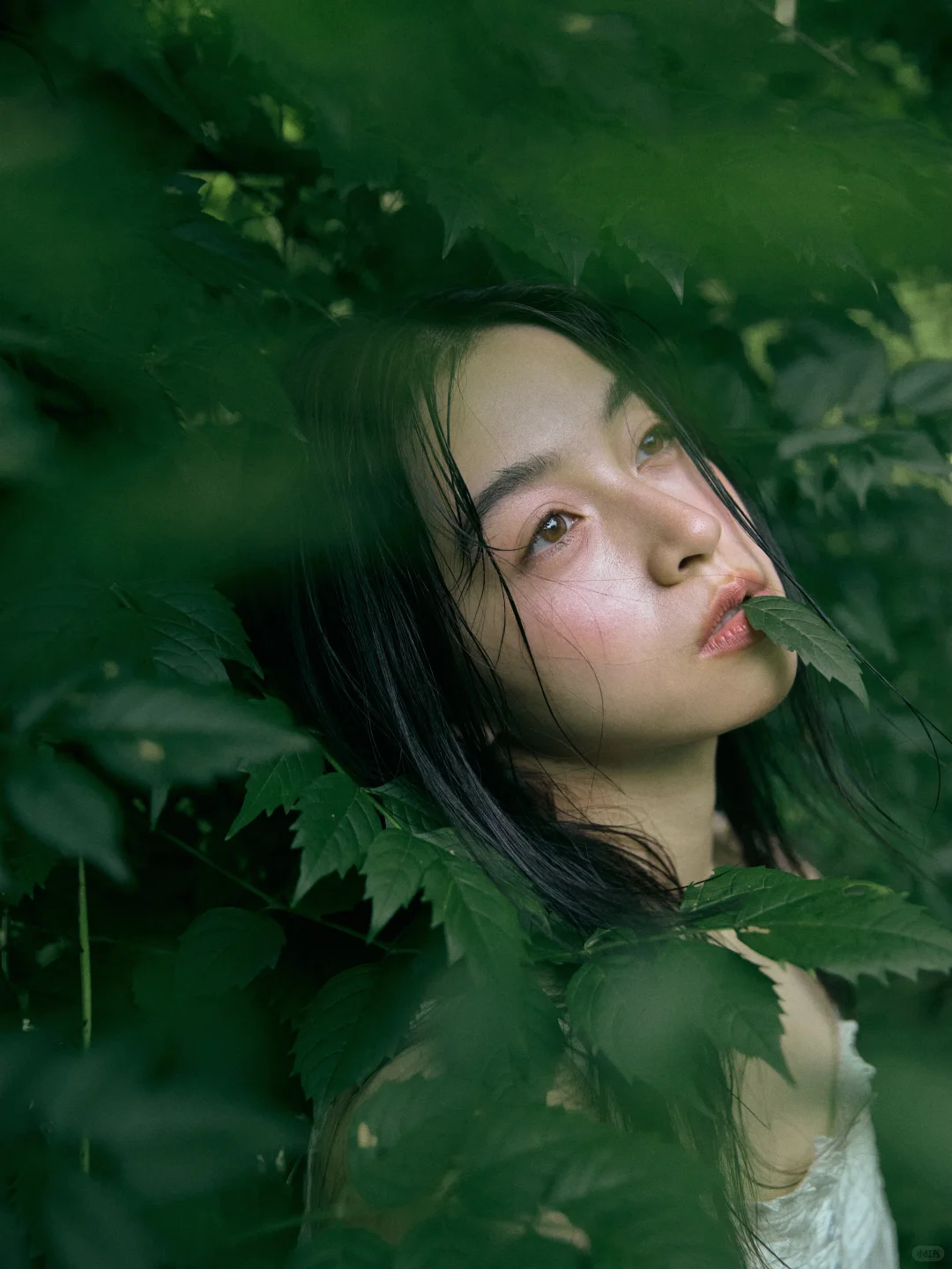 我拍的森林系女孩，太喜欢了！?