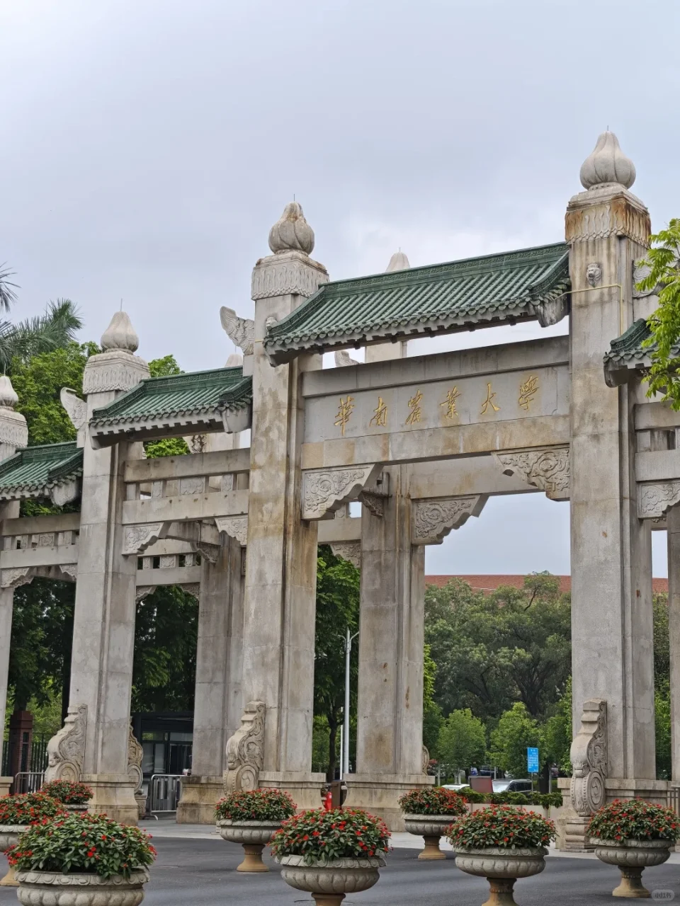 华南农业大学招聘教师,离家的近试试