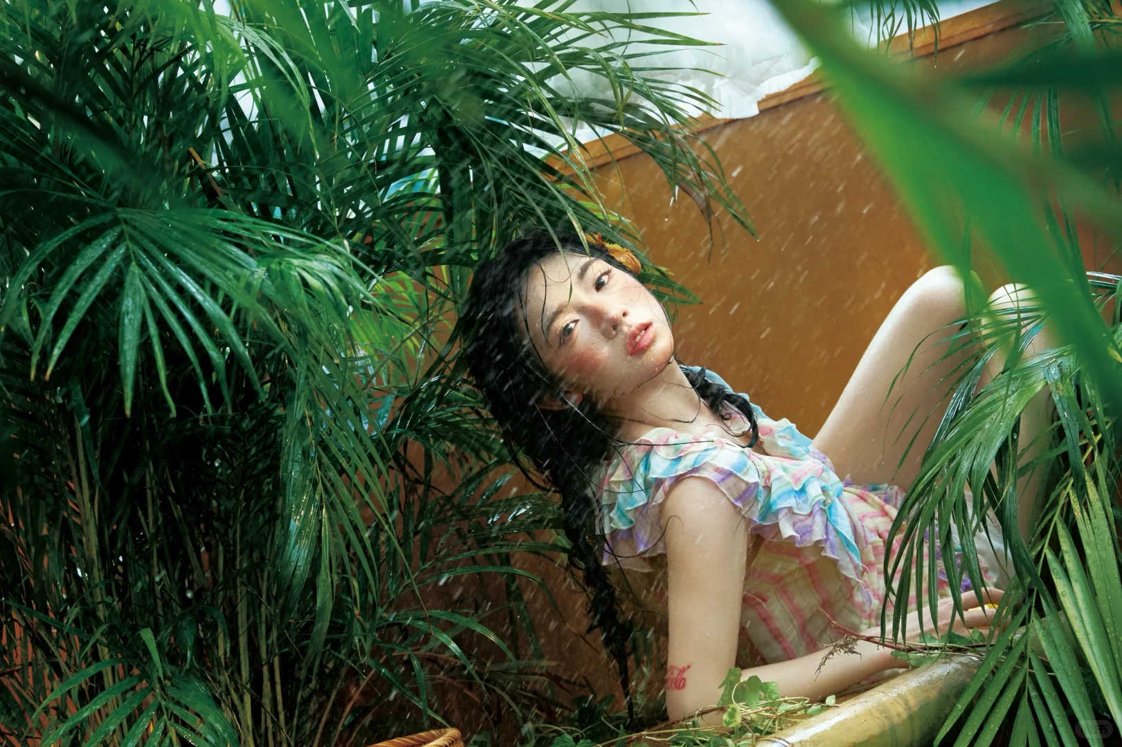 我想我知道 夏天的味道?