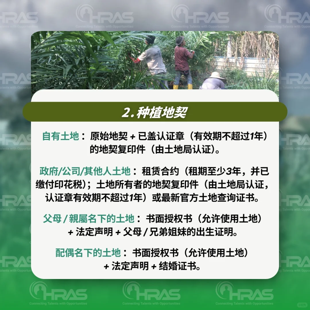 外劳聘请种植业