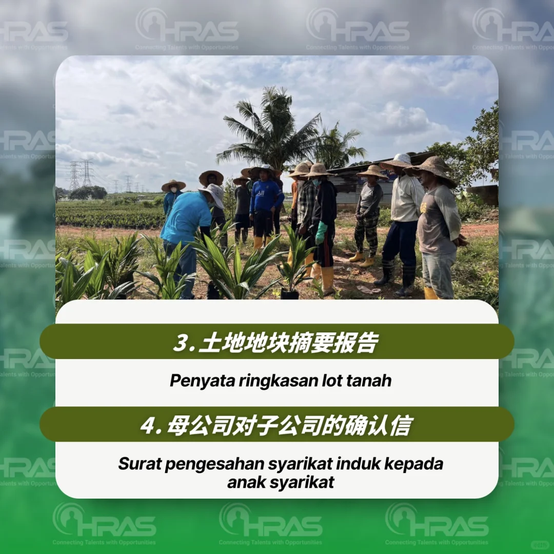 外劳聘请种植业