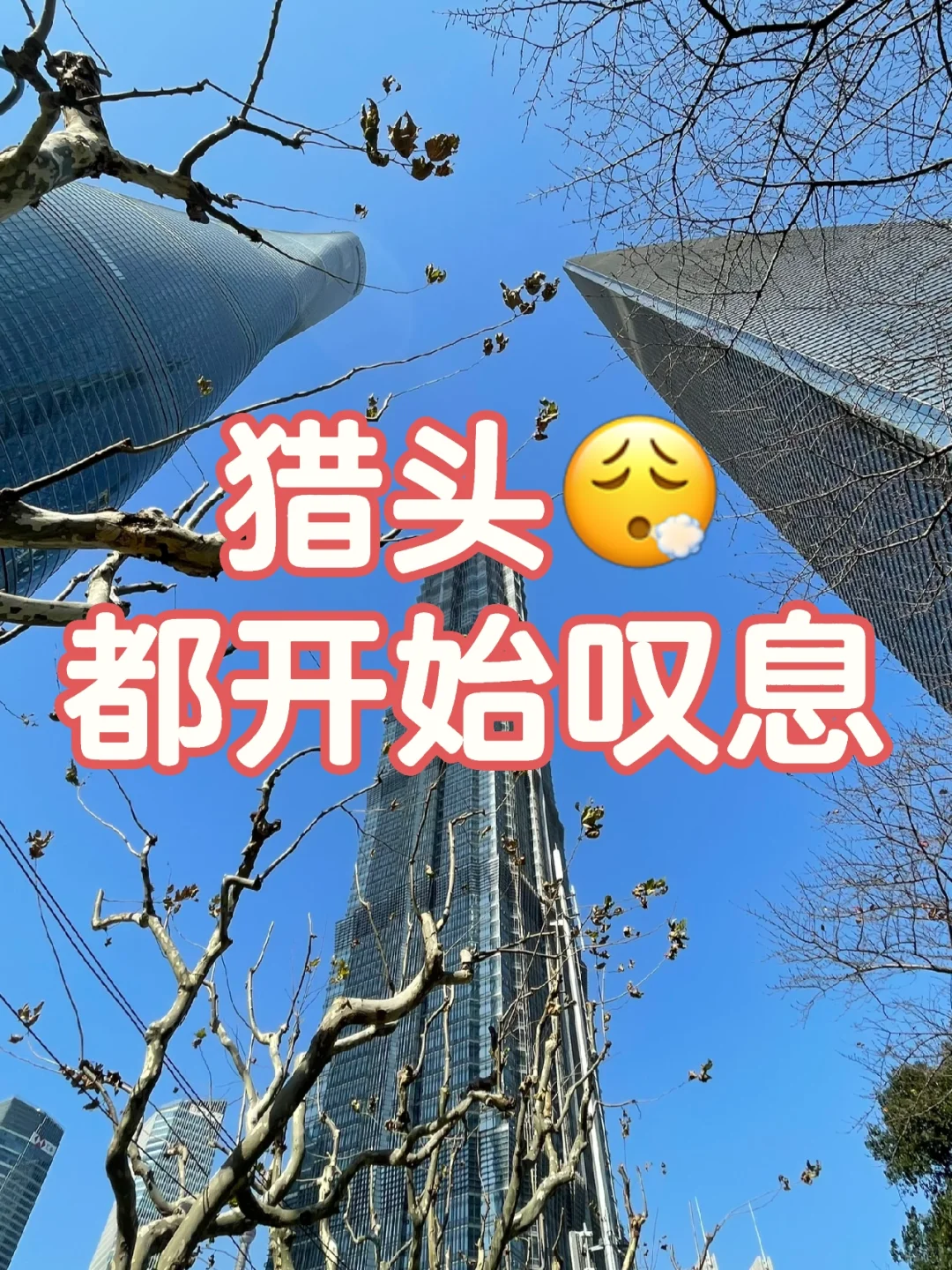 离谱⚠️ 猎头反过来劝我别跳槽?