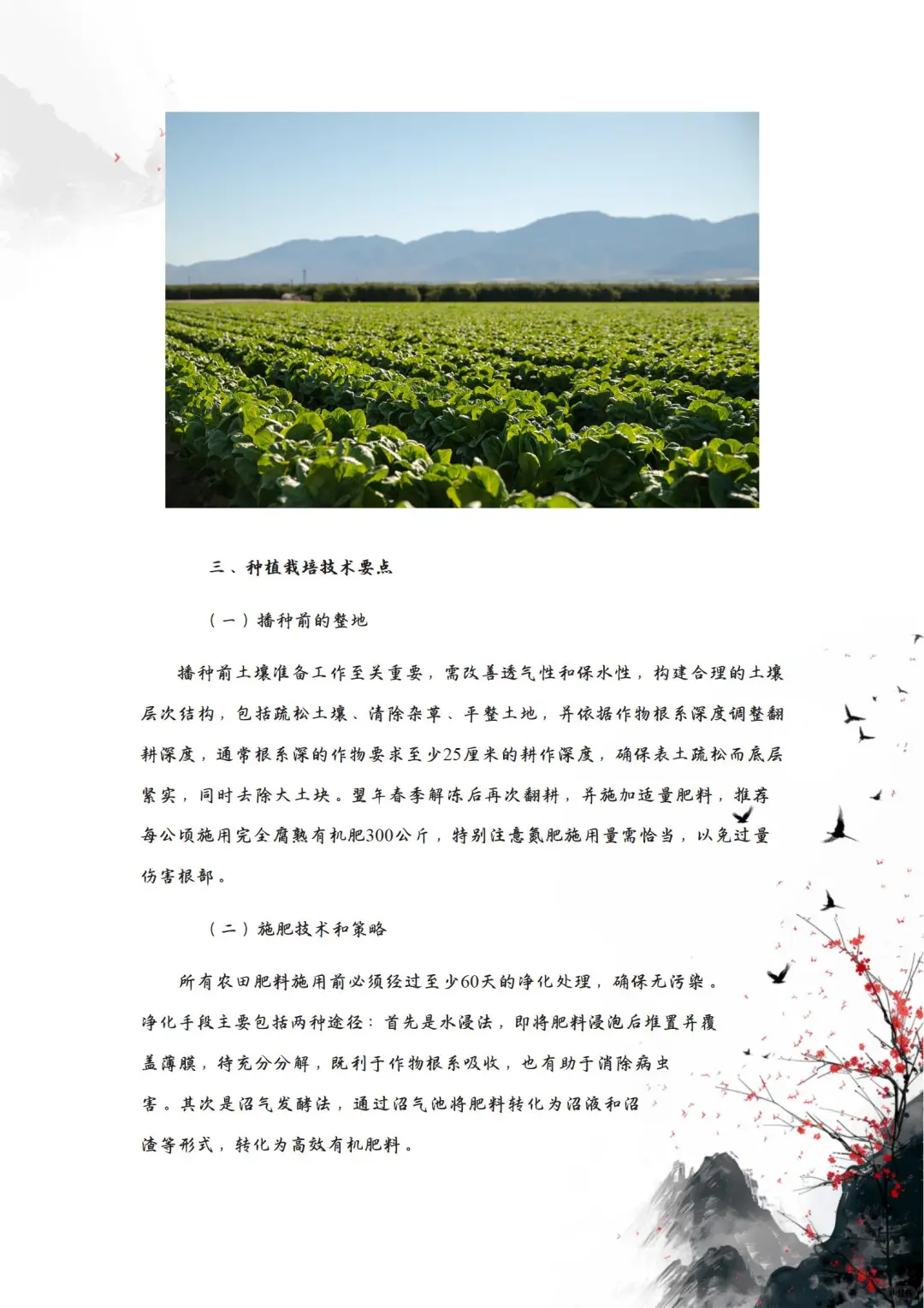 有机蔬菜种植技术要点