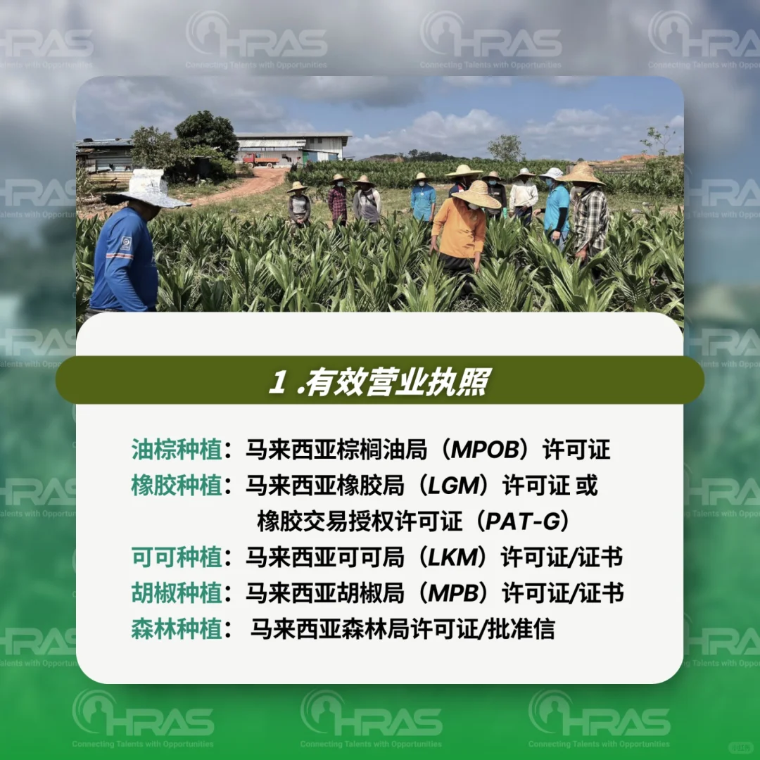 外劳聘请种植业