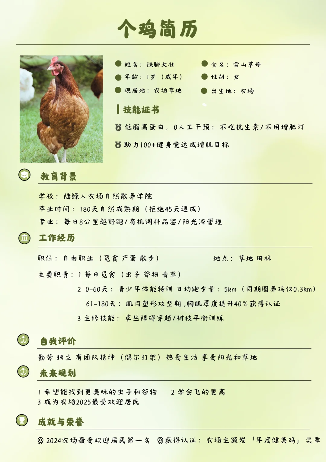 急招!农场首席运动鸡简历被曝光了?!