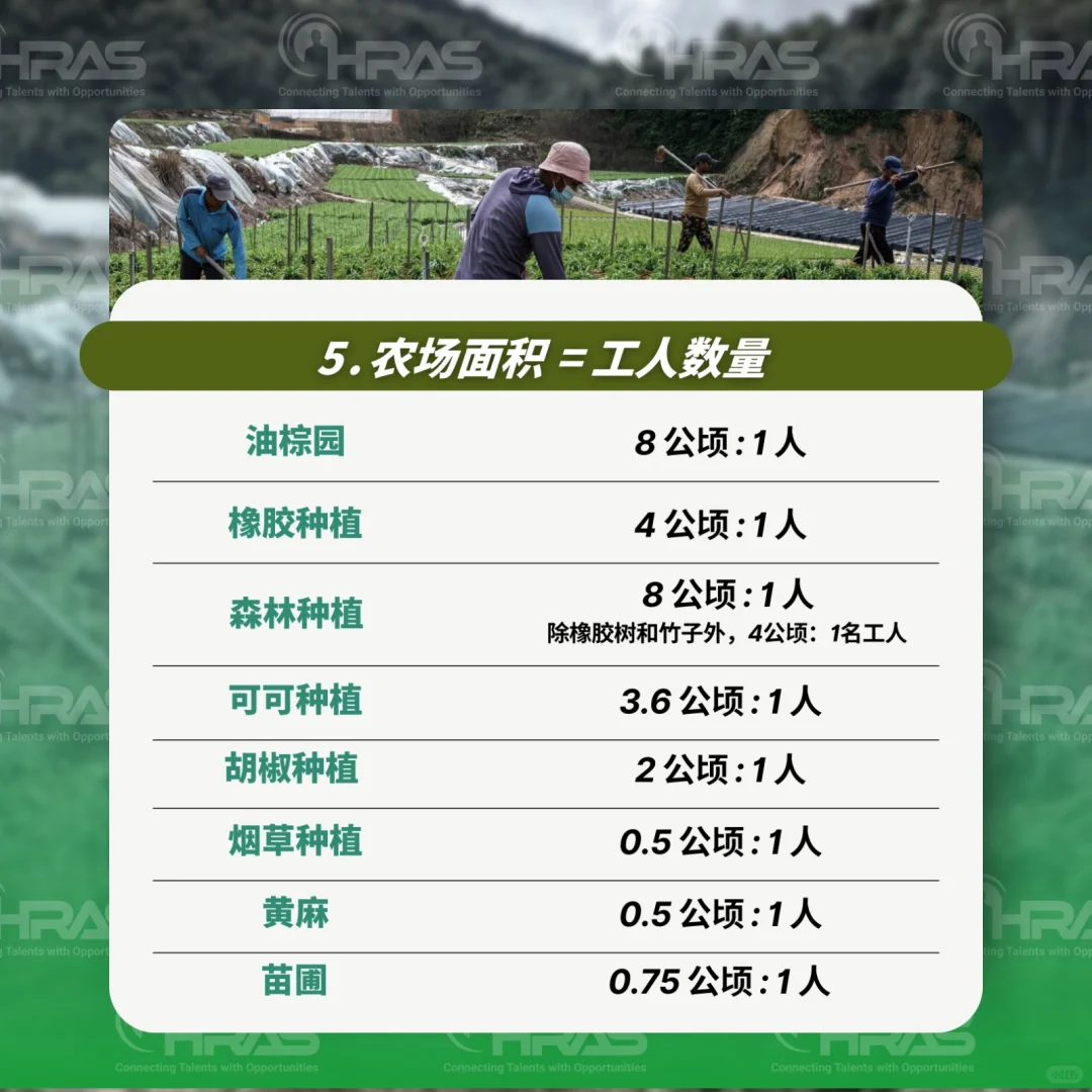 外劳聘请种植业