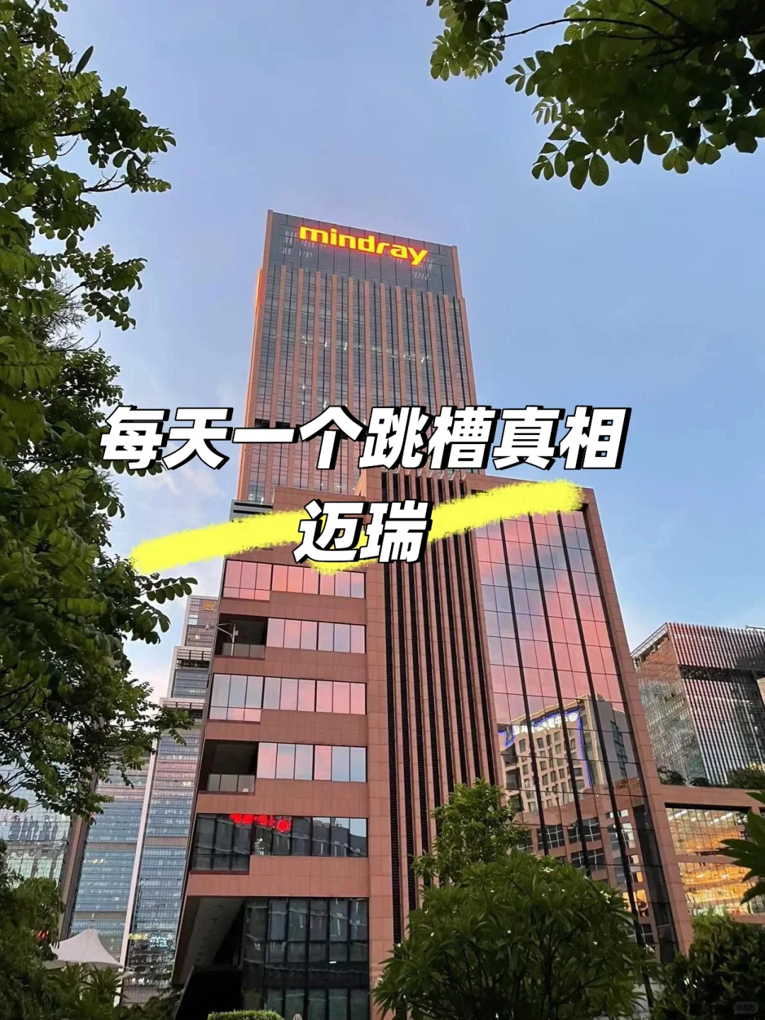 每天一个跳槽真相之迈瑞