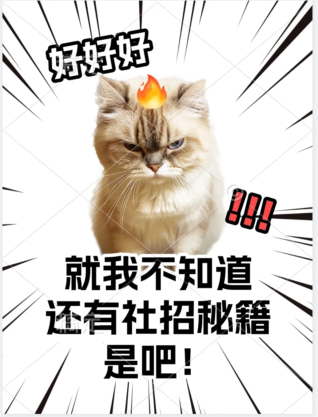 救命！刚发现社招还有这种宝藏秘籍?