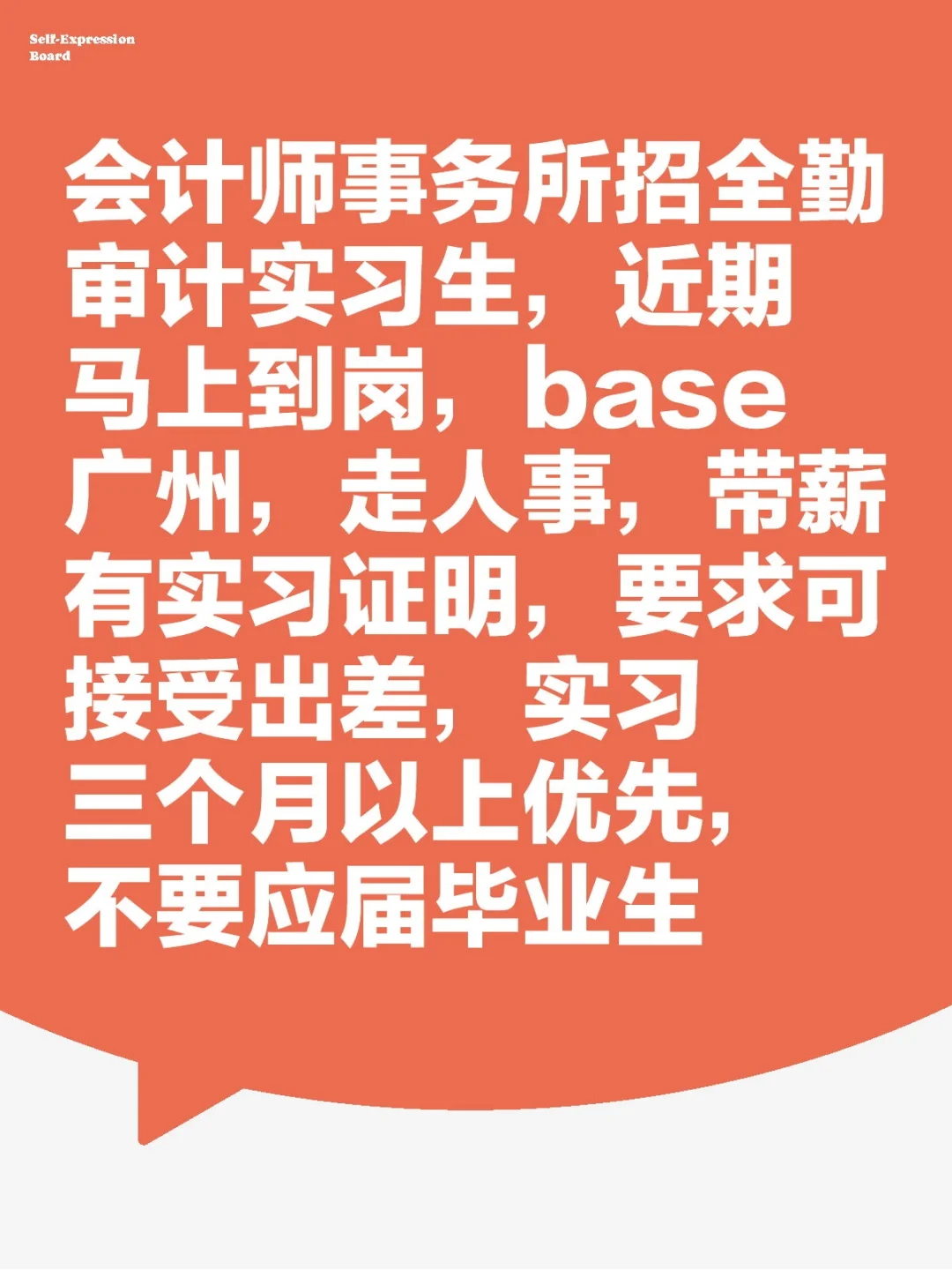 审计实习生急招