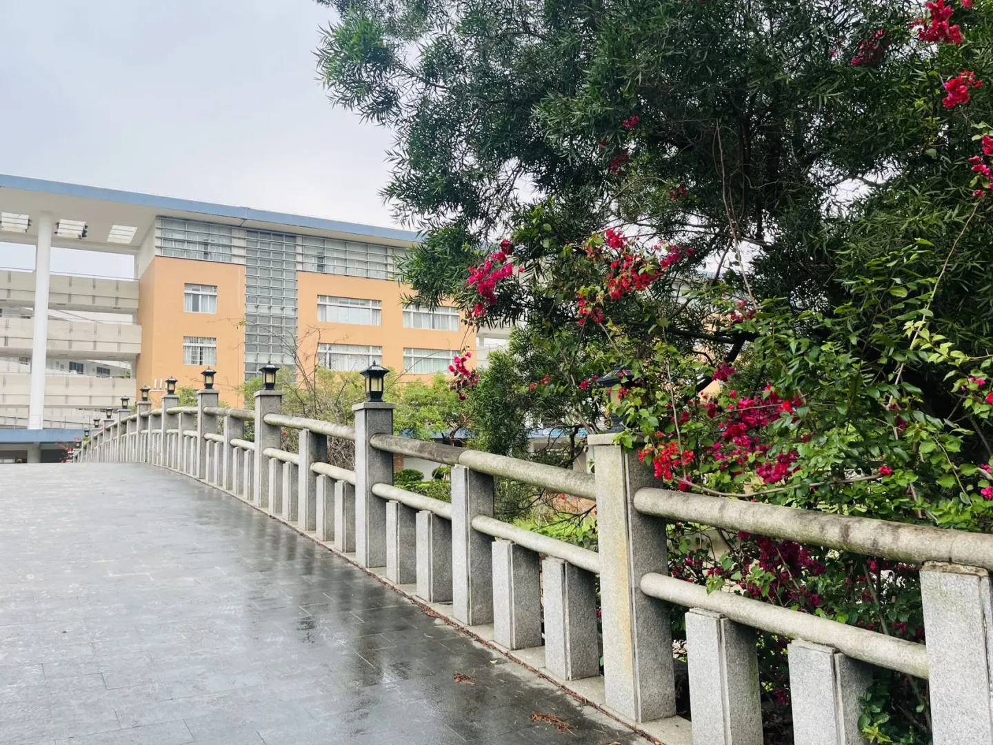 广东外语外贸大学直招!
