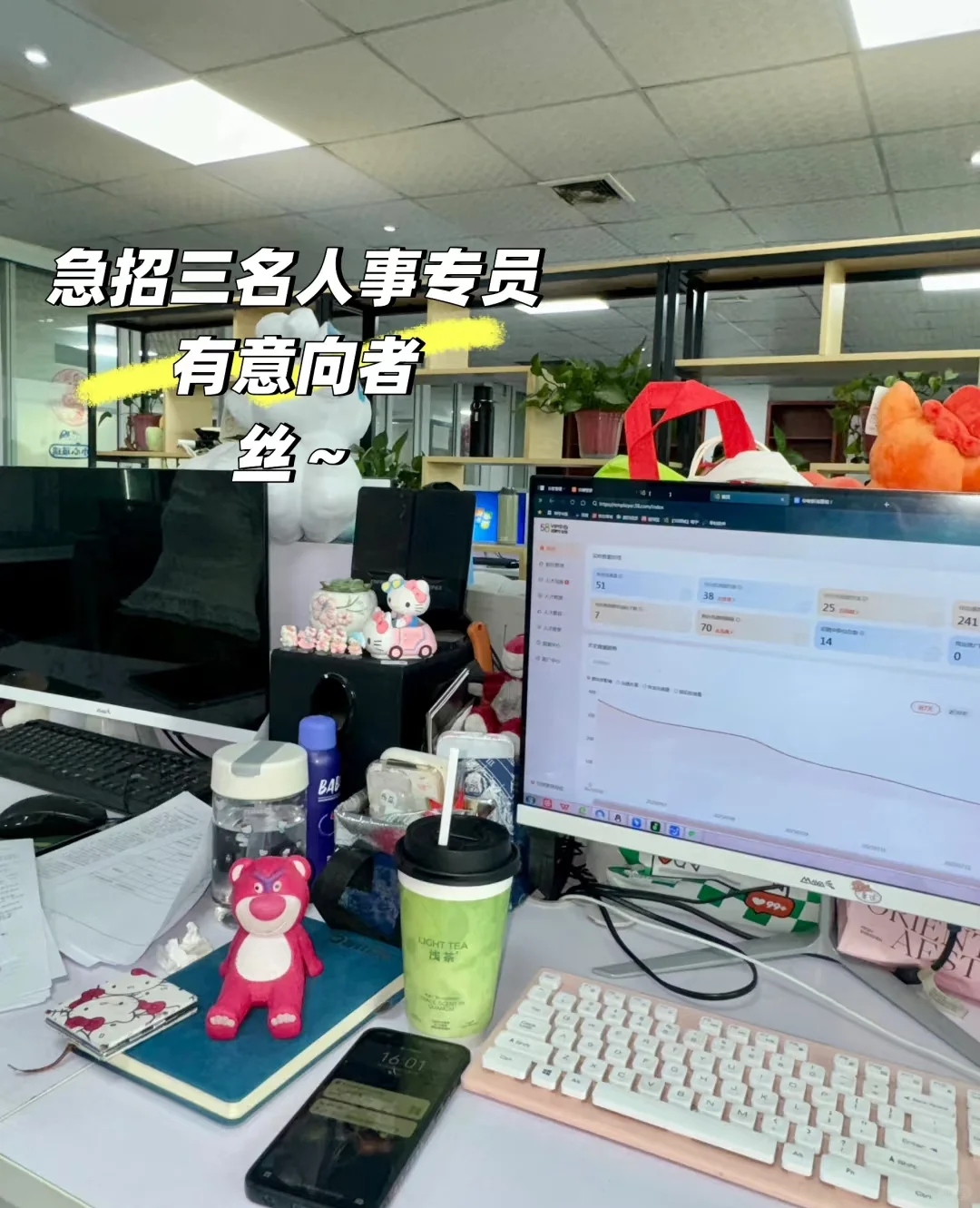急招小白！！！急招人事小白3名！！！