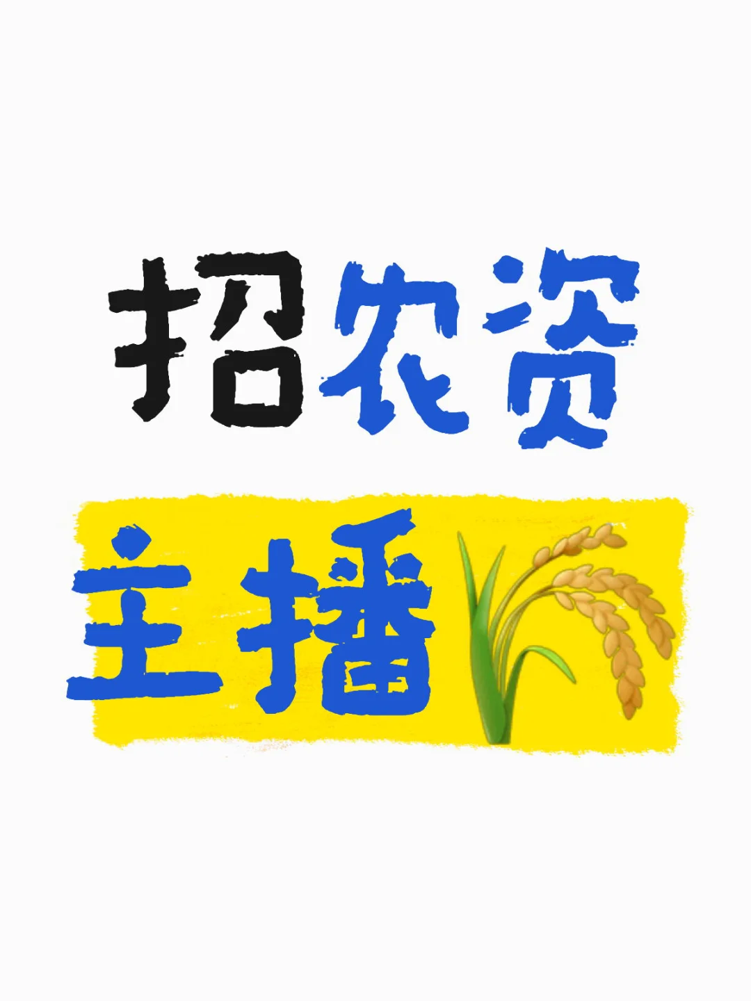 找一位有直播经验的宝宝
