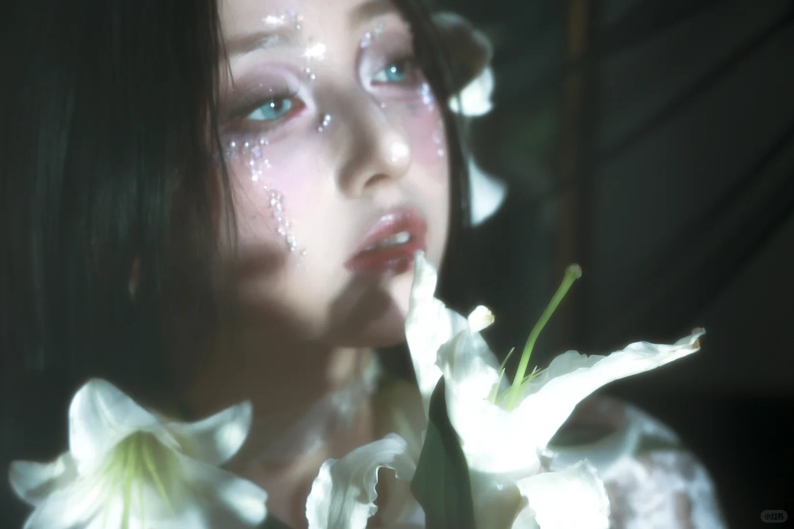 六月的百合花让我活着
