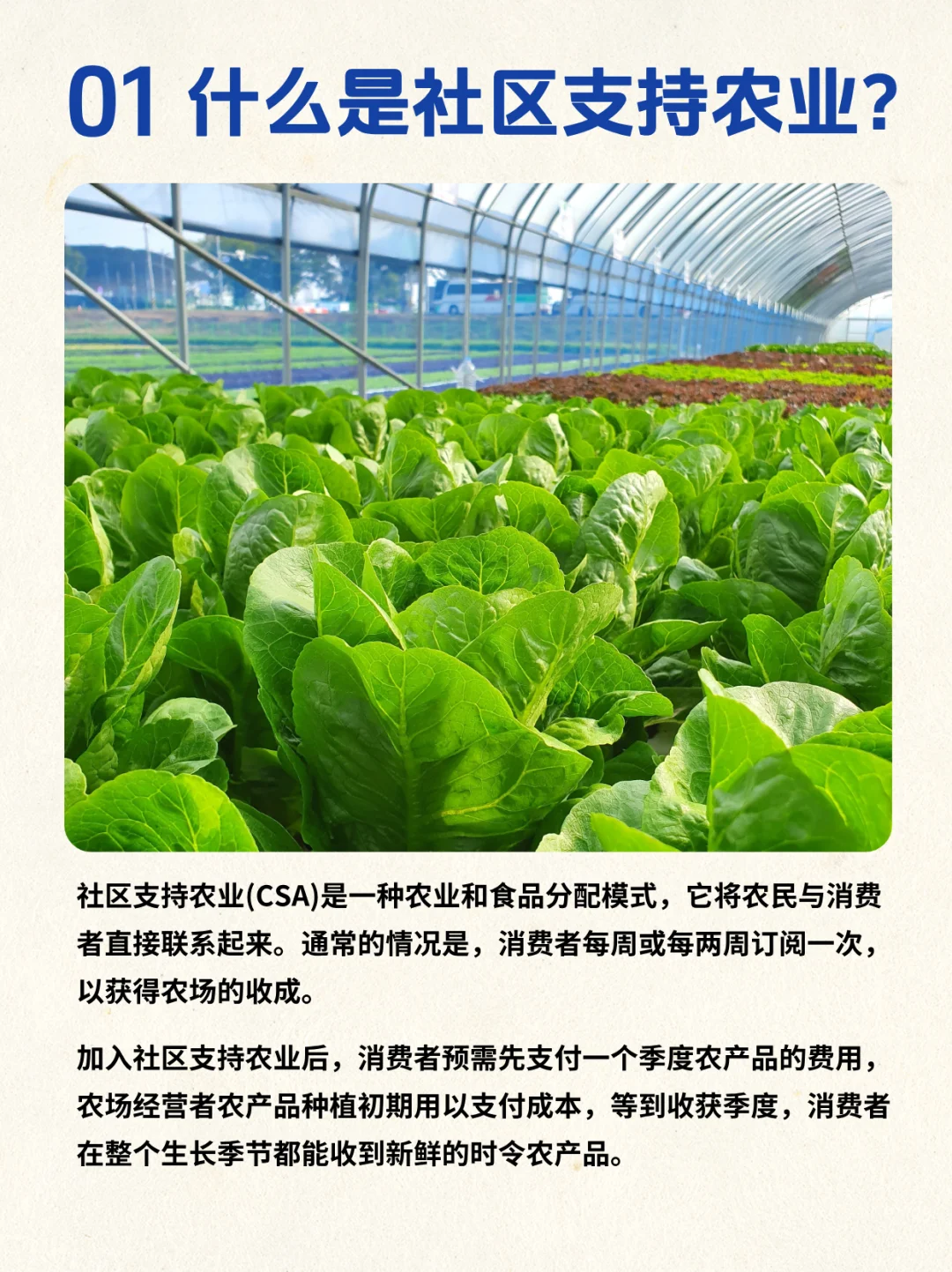 农业也支持订阅了?社区支持农业的好处~