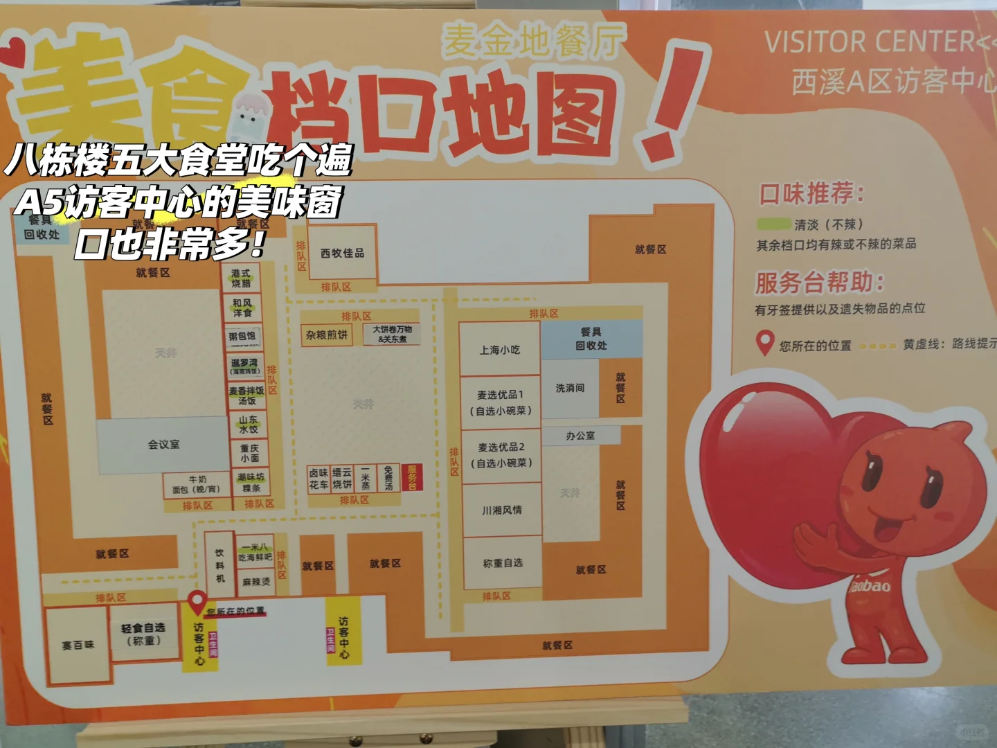 【急招实习继任】帮特别特别好的mt招继任