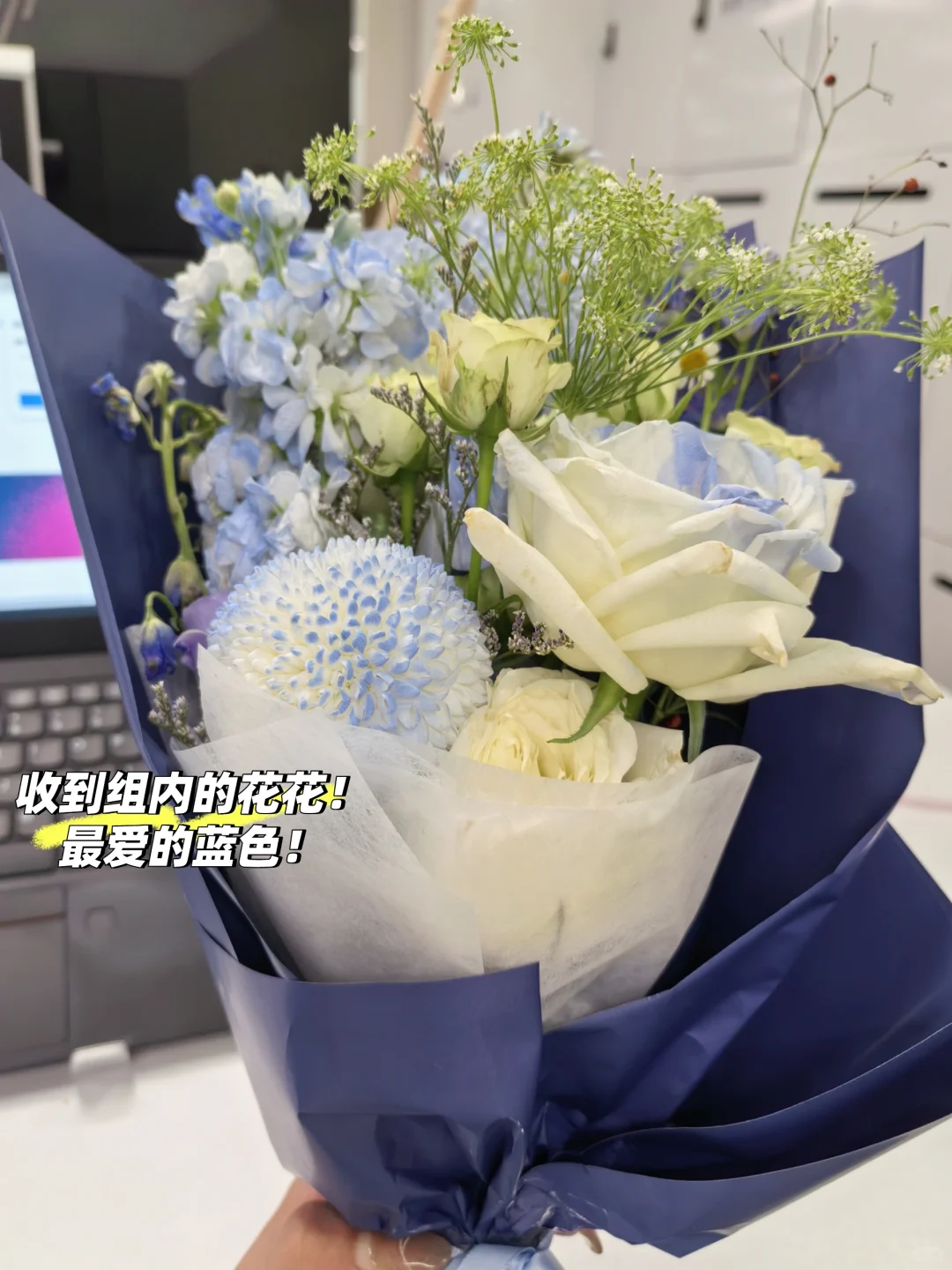 【急招实习继任】帮特别特别好的mt招继任