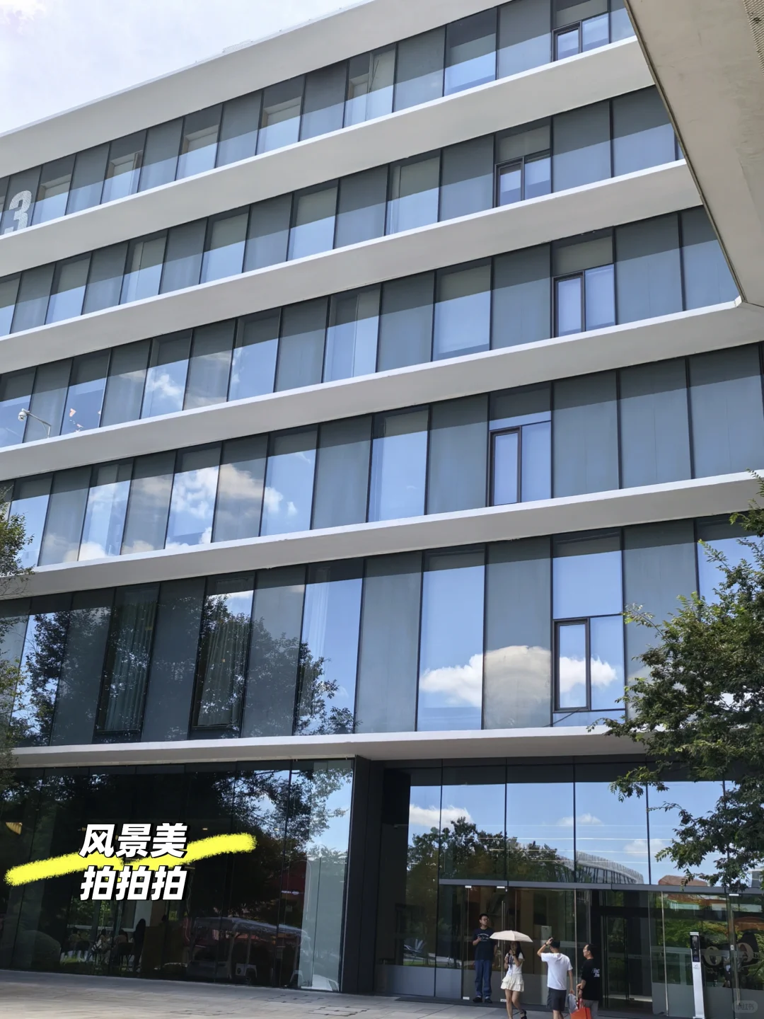 【急招实习继任】帮特别特别好的mt招继任