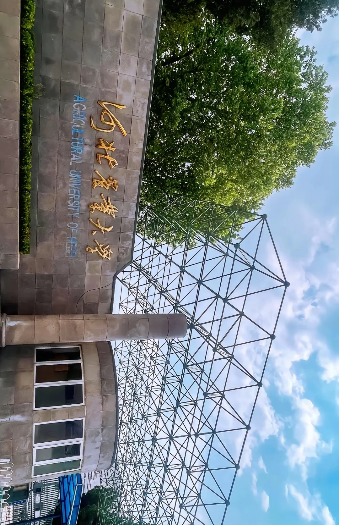河北农业大学的师兄师姐都在从事什么工作？