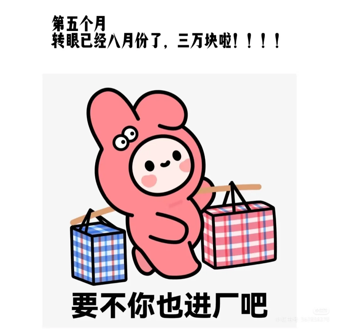 工厂招聘，国企直招！