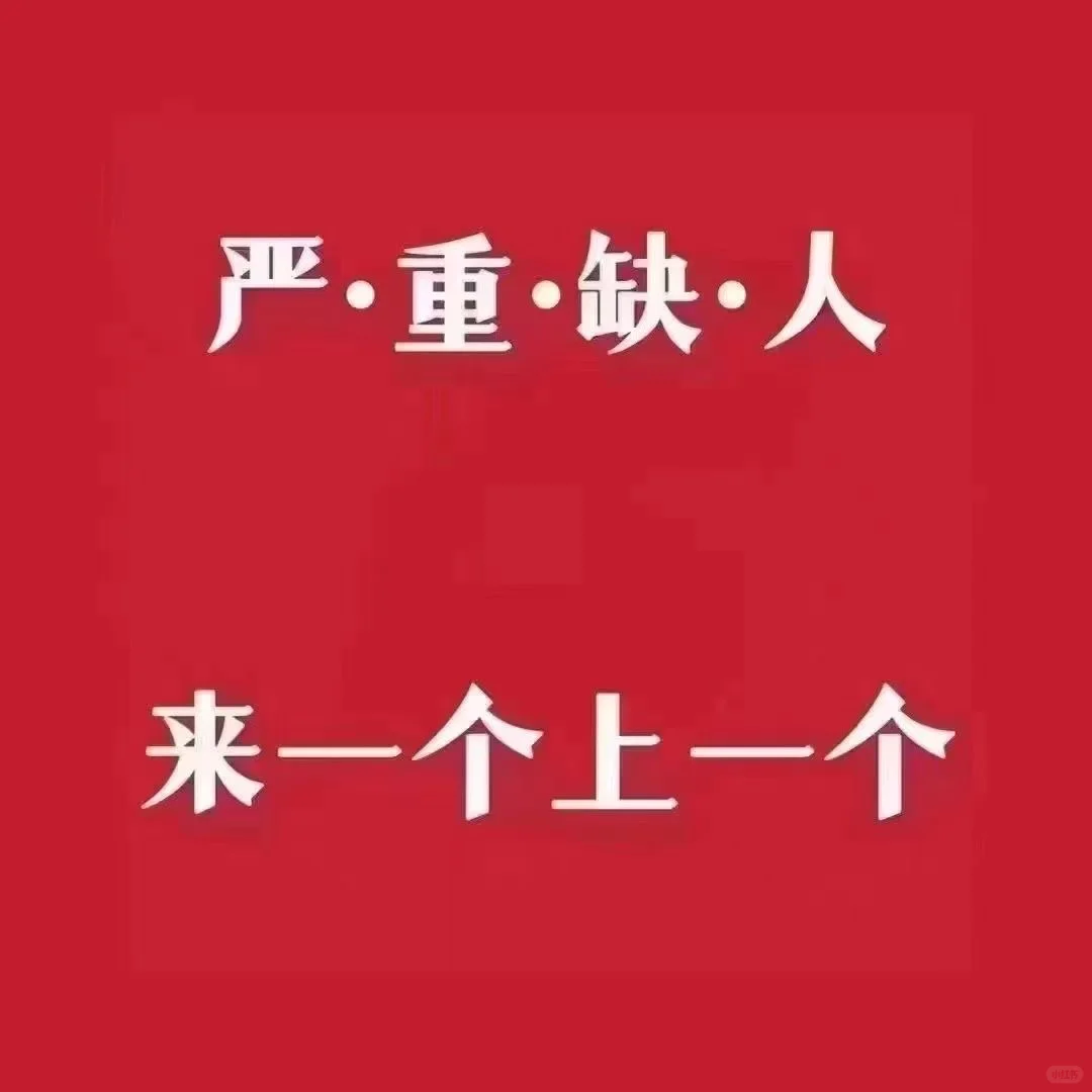 大量实习岗，急招！