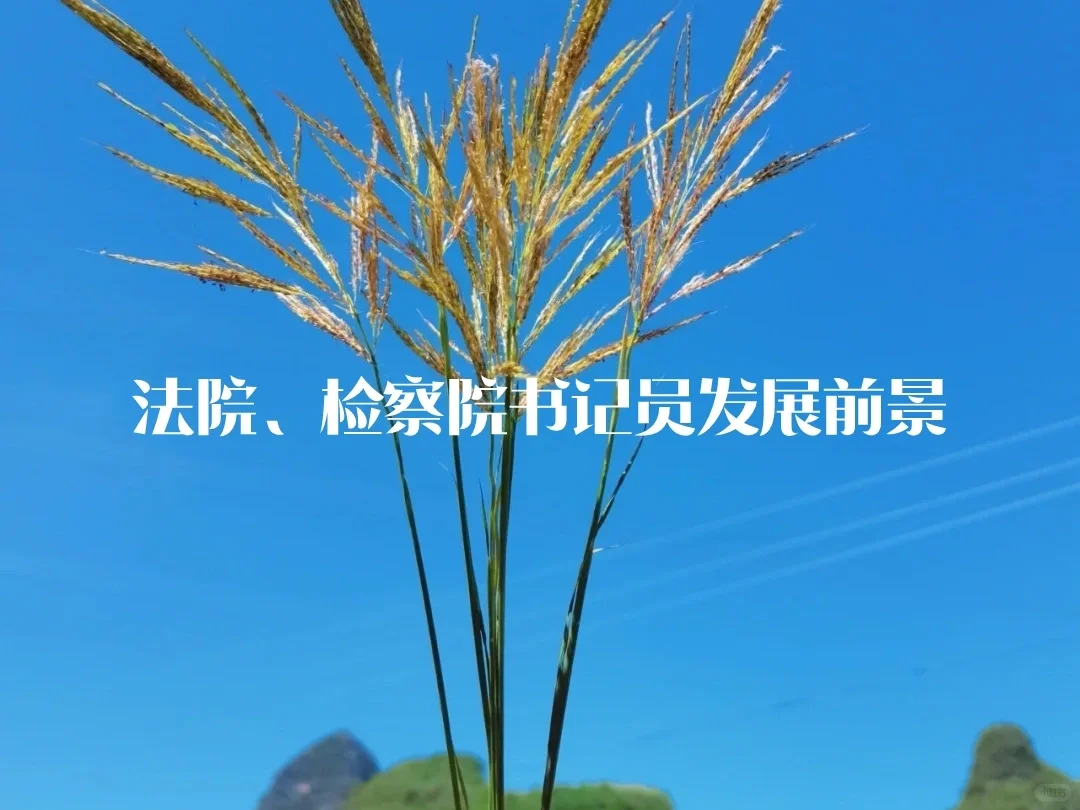 法院、检察院书记员的发展前景