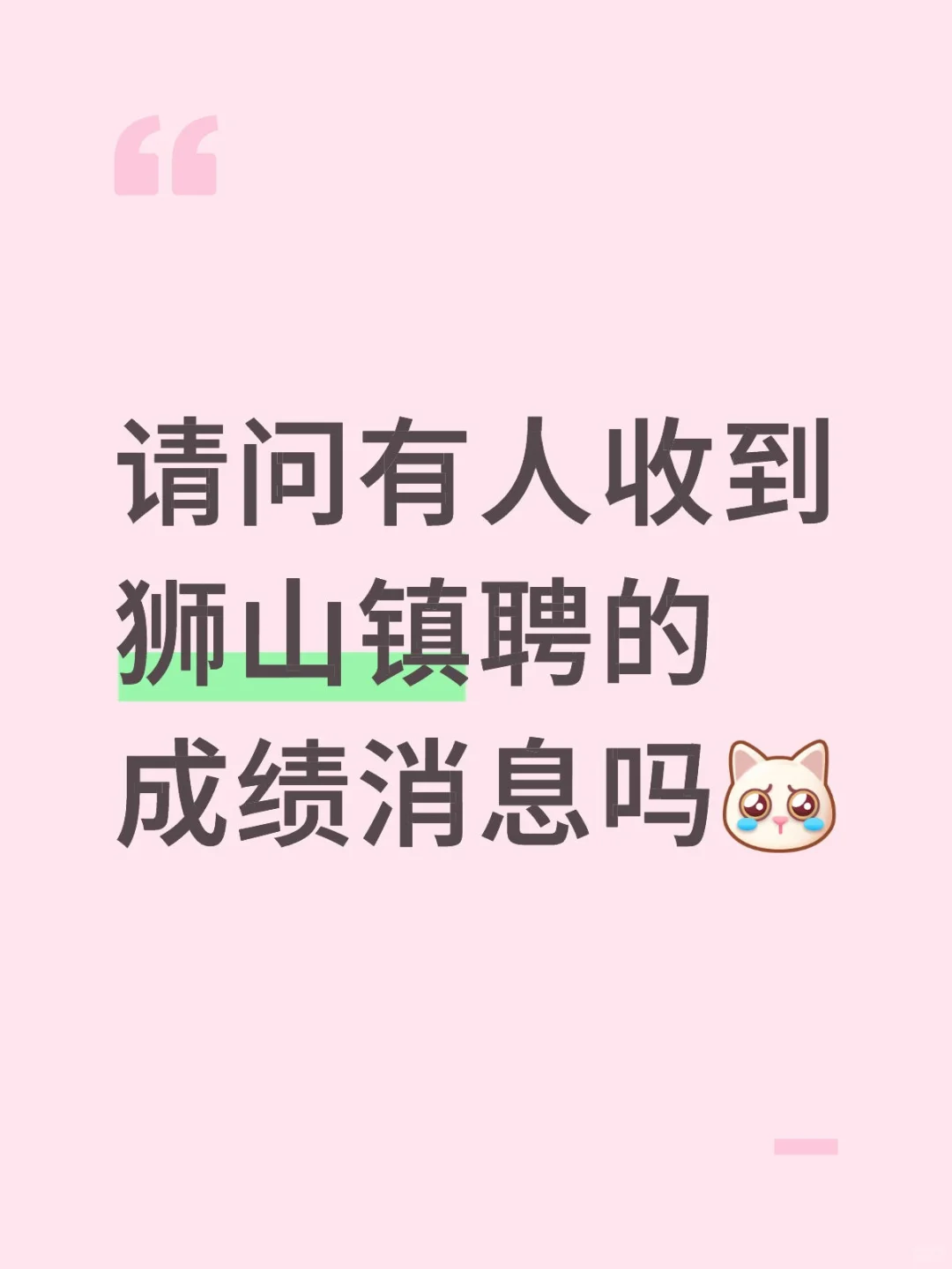 狮山镇聘出成绩了吗