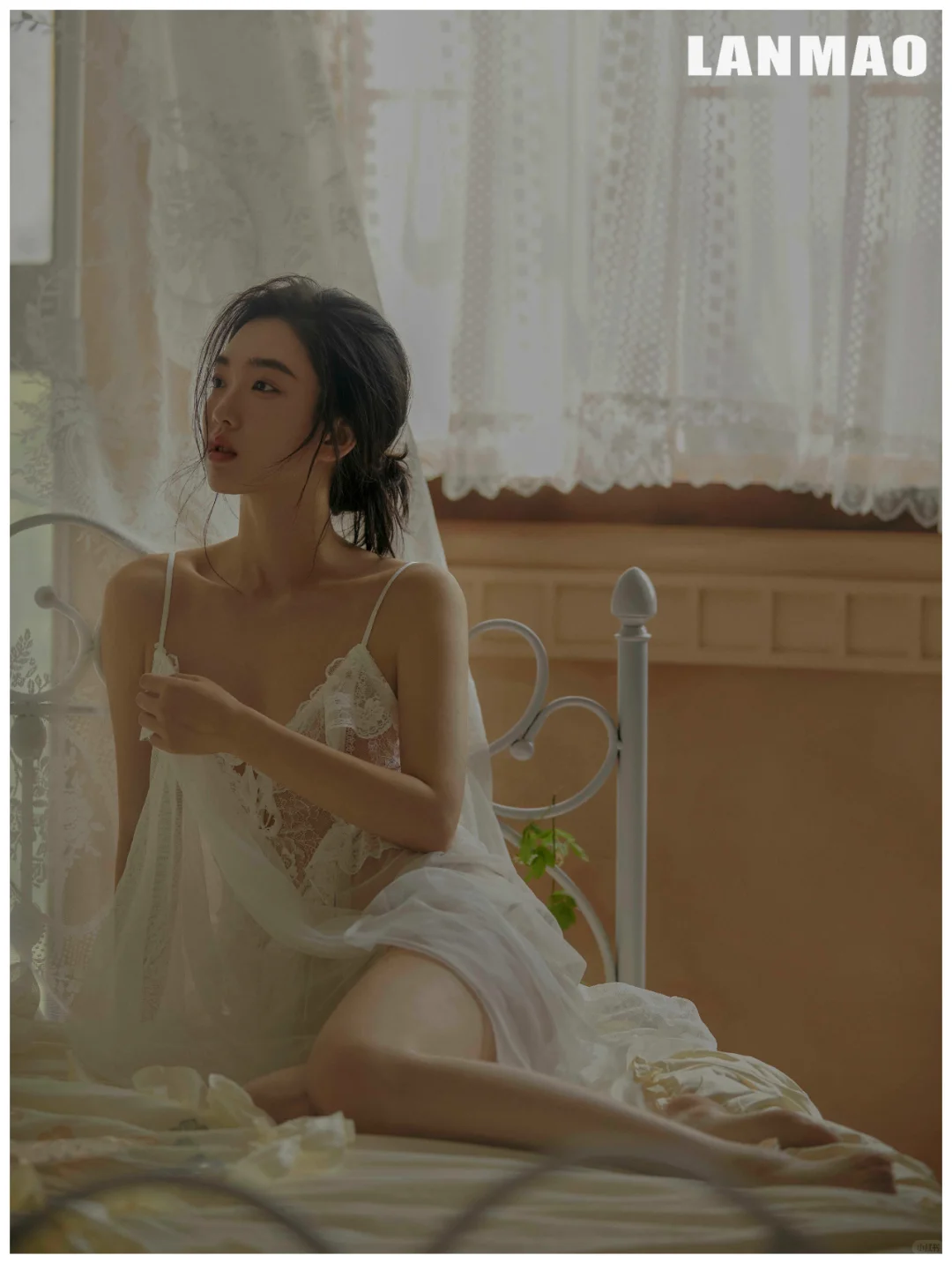 轻私房系列 | 少女的温柔都藏在朦胧的闺房