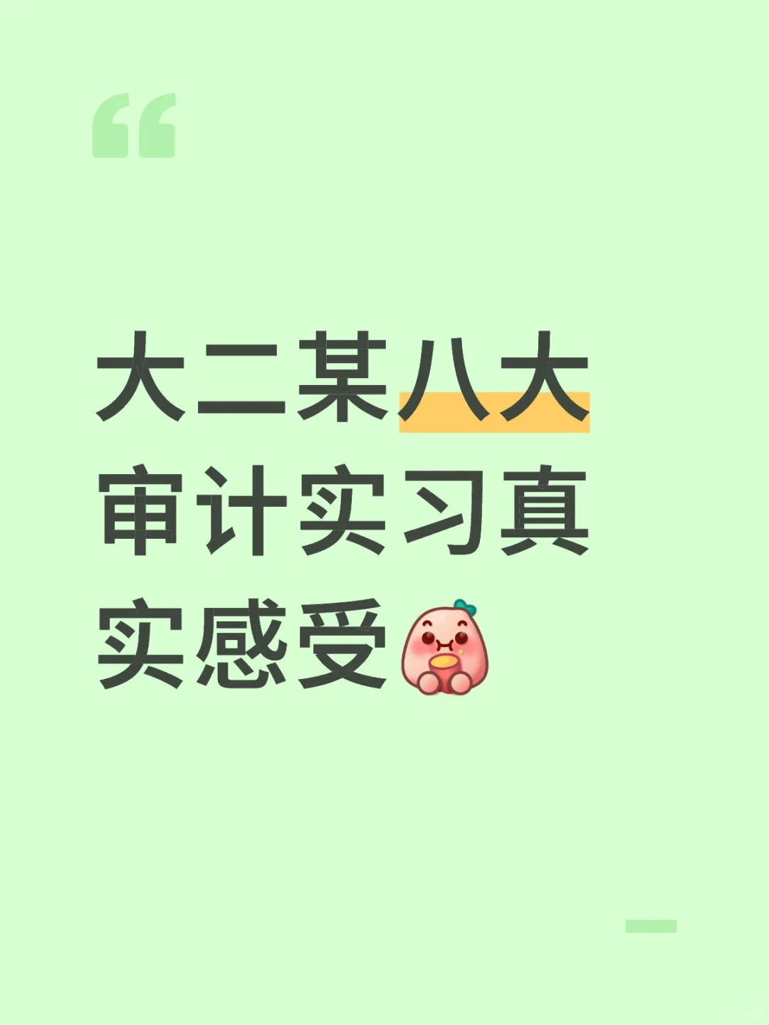 大二某八大审计实习真实感受