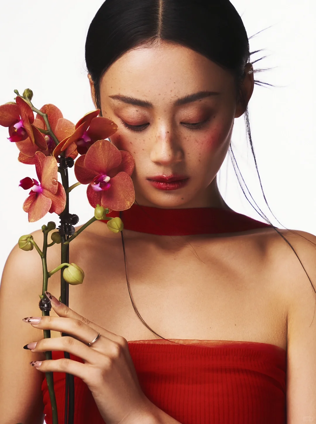 新月美人