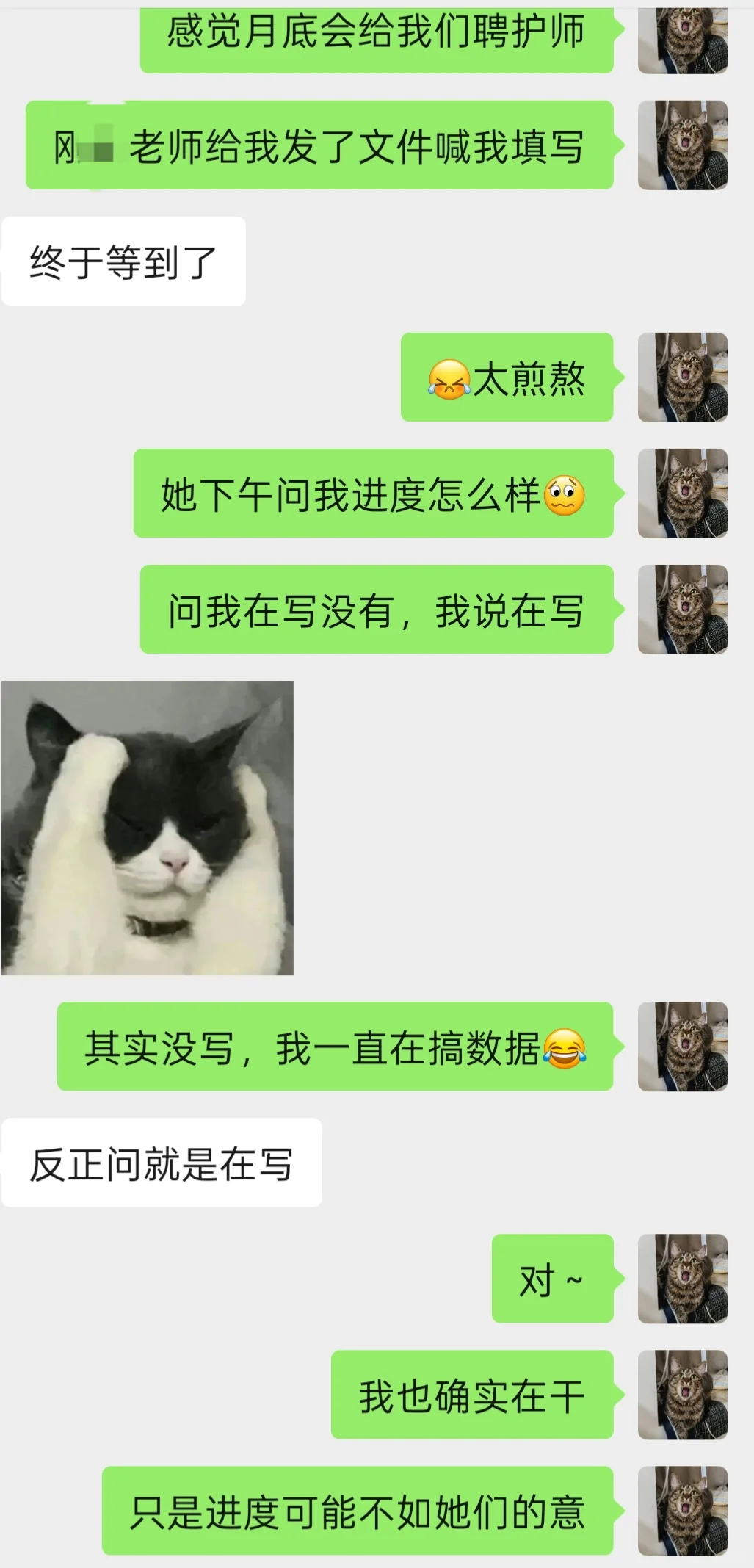 工作一周年,本牛马终于能聘护师了,终于