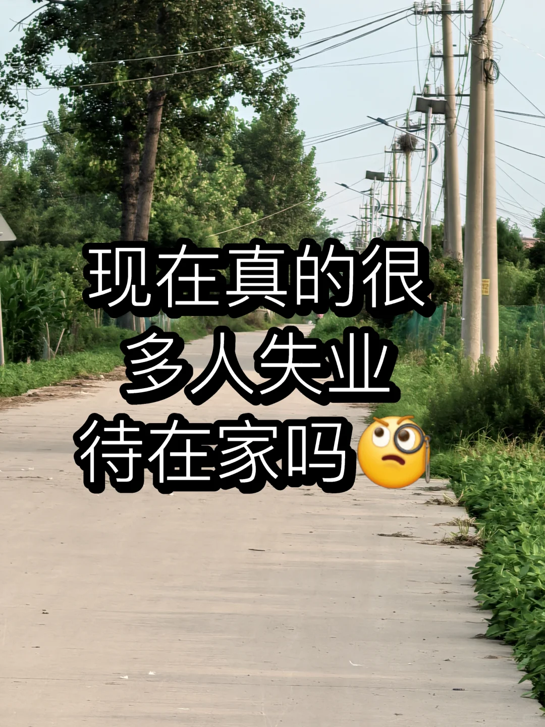 大家不工作在家都在干嘛呀!
