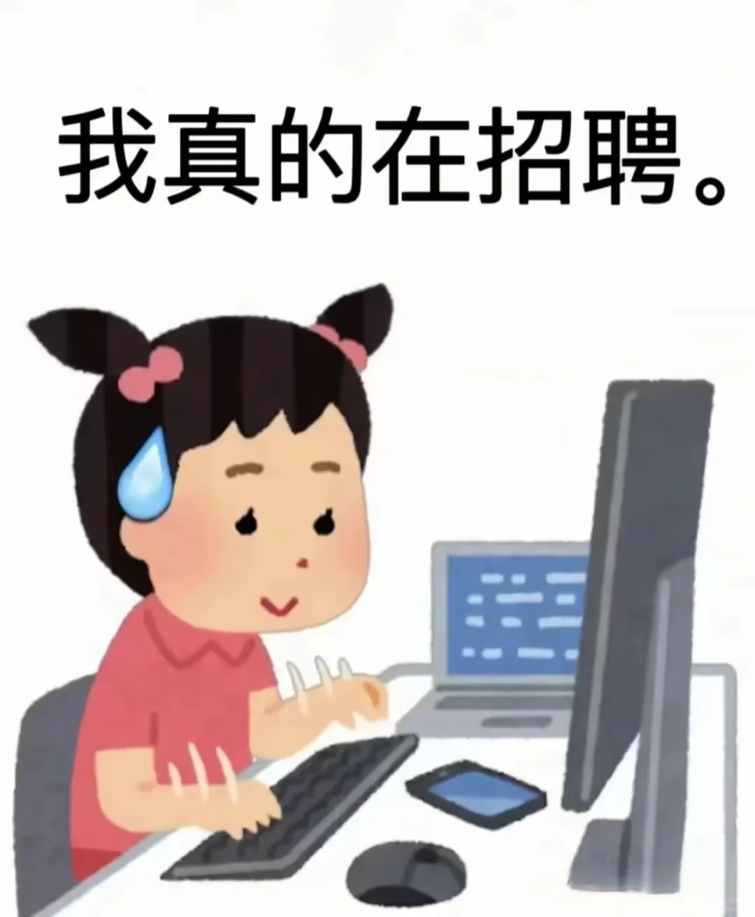公司直招抖音个播!