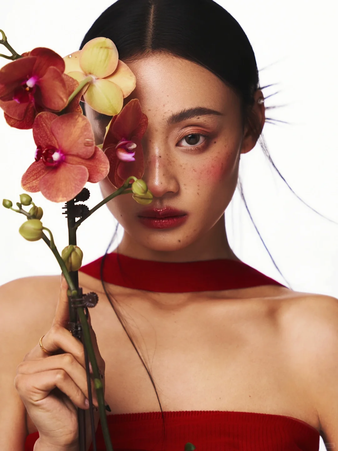 新月美人