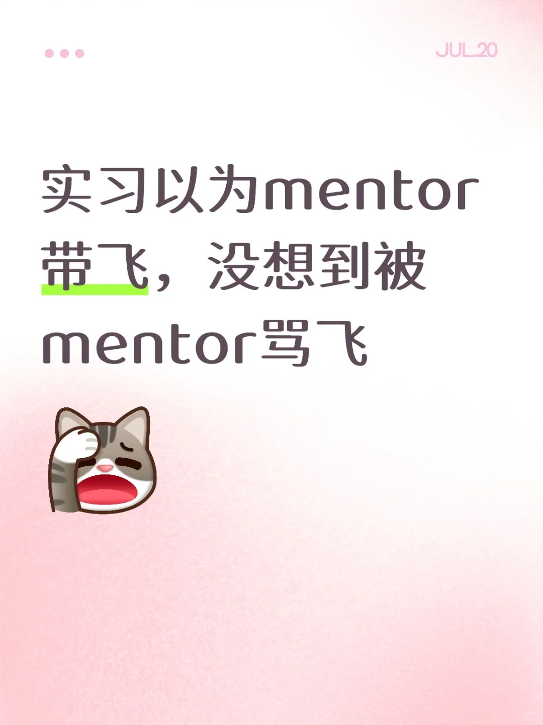 实习以为mentor带飞,没想到被mentor骂飞