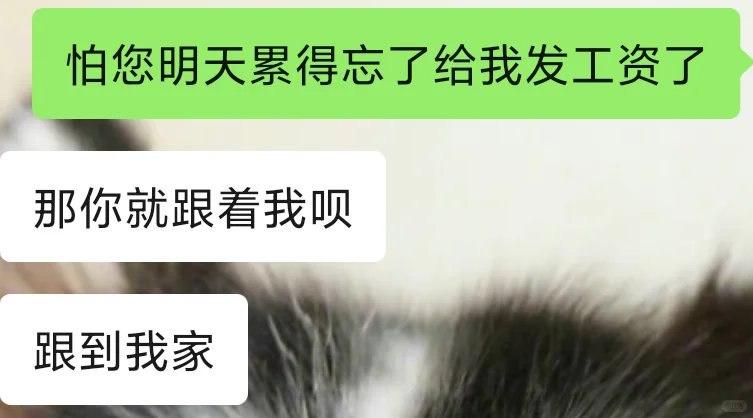 我被Boss直聘做局了！