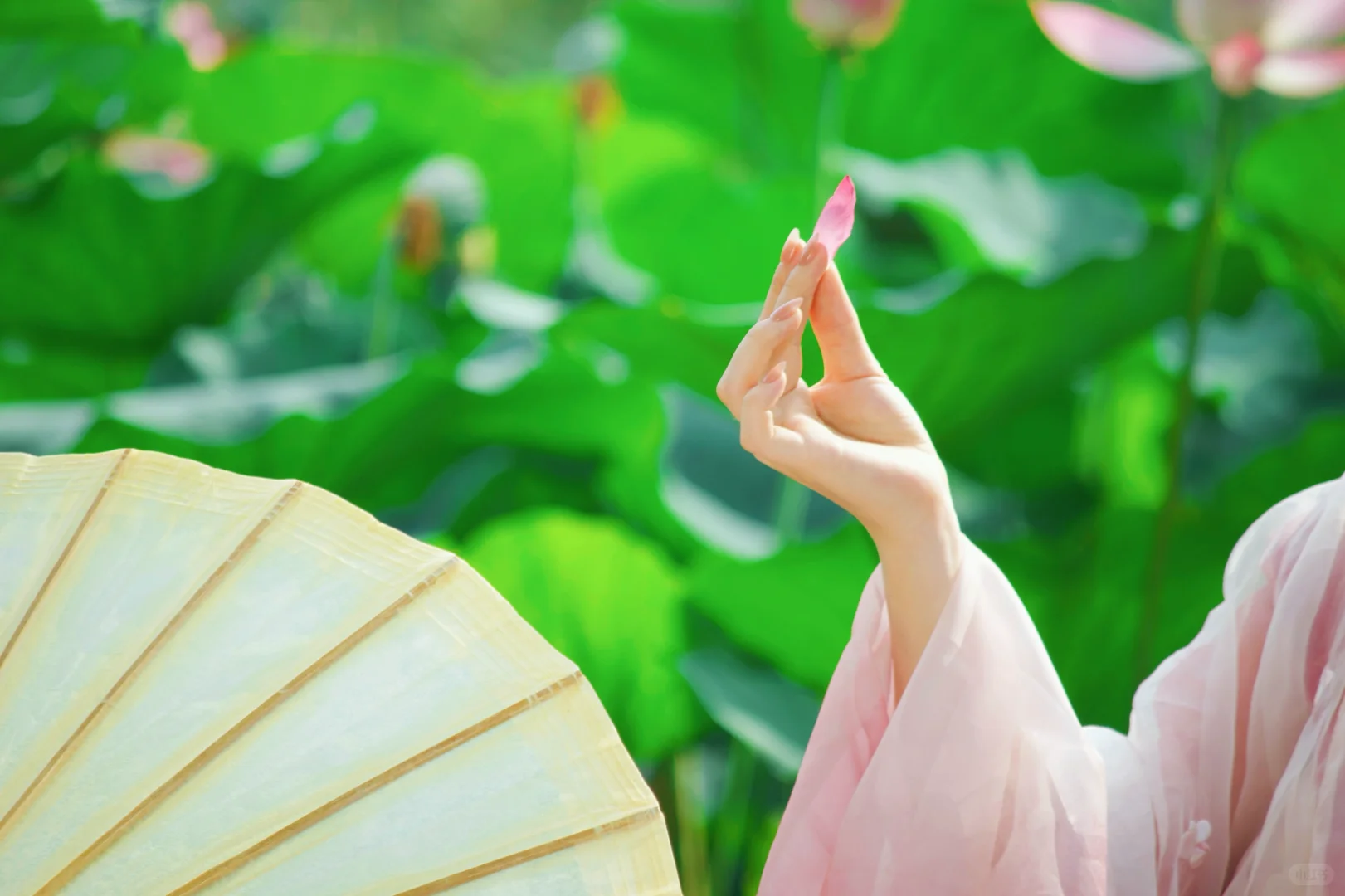 【互勉6】|模特的美貌,摄影的荣耀