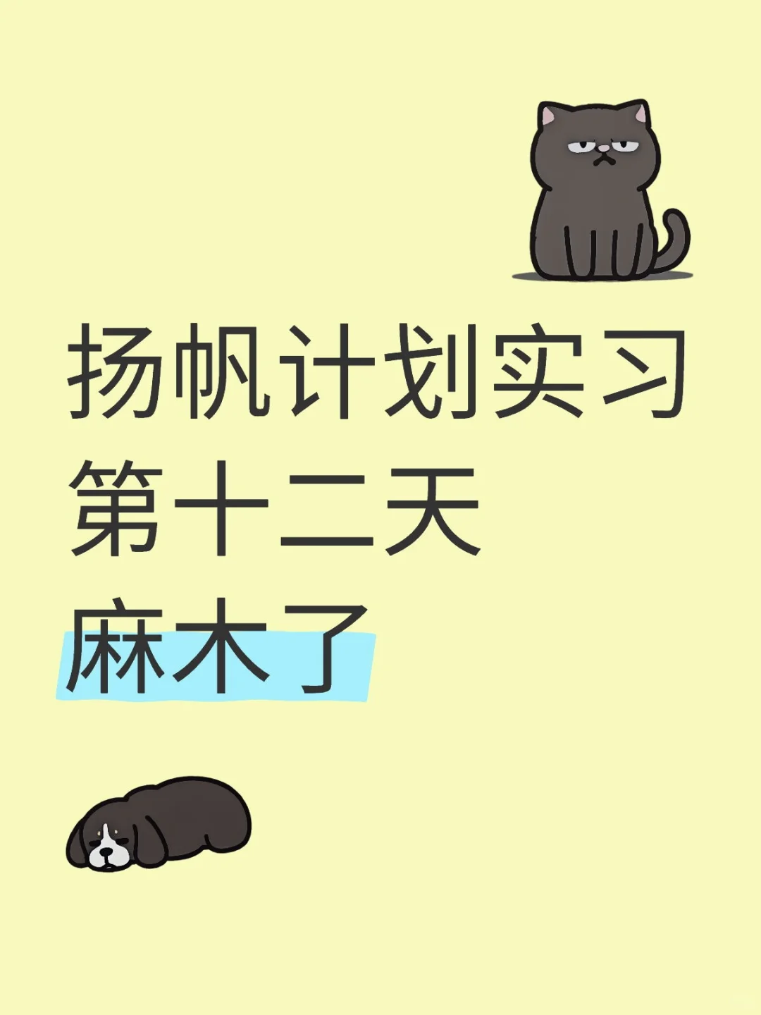 扬帆计划岗位第十二天