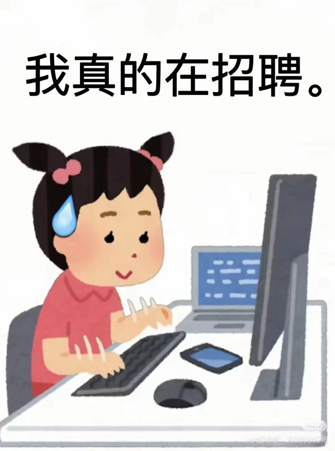 招聘啦，满编截止